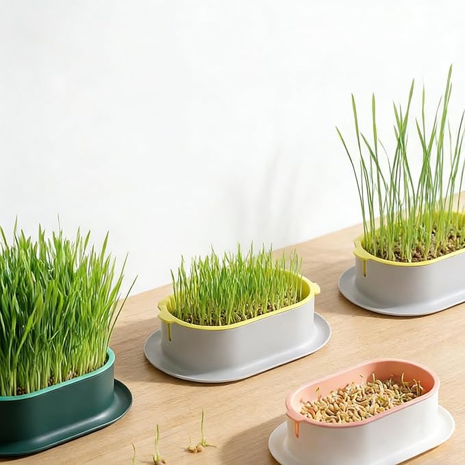 Cat Grass Planter - 3pcs Hydroponic Cat Grass Growing Kit with Germination Tray - Cat Plant Planting Box Nursery Cat Plant for Pet