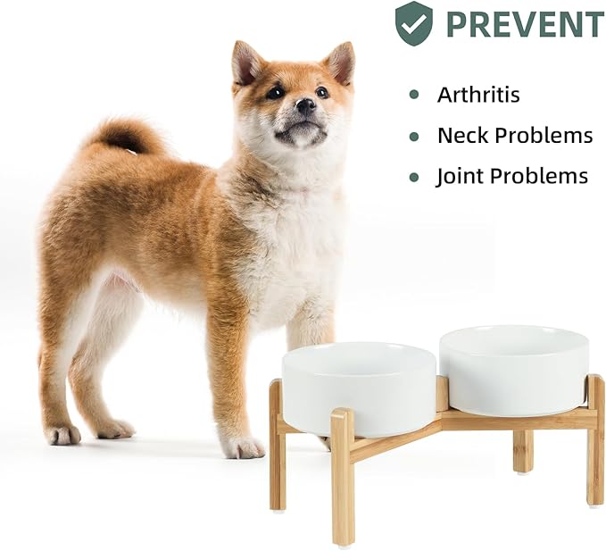 Havniva Ceramic Raised Double Bowls Set with Stand, Food & Water Bowls for Medium Breed Dogs, Weighted Dog Dishes, Pet Bowl(7.3'',41OZ, White)