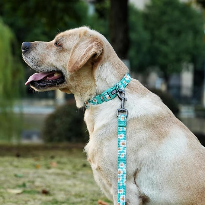 Dog Collar Leash Set, Floral Pattern, with Safety Reflective Strips, 5 ft Matching Leash, Neoprene Padded Handle, Adjustable 4 Sizes for Small Medium Large Dogs.(XS, Green Daisy)
