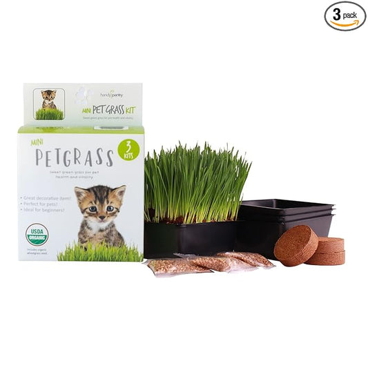 Handy Pantry Organic Cat Grass Kit - Includes 3 Trays, Soil Pucks, and 3 Packs Non GMO Wheatgrass Seed - A Healthy Treat For Cats, Dogs, Rabbits, More