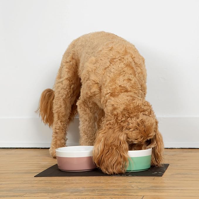 Waggo Dipper Ceramic Dog Bowl for Small and Large Breeds - Heavyweight and Durable Pet Food and Water Dish Crock, Dishwasher Safe, Modern (Mint, Medium)