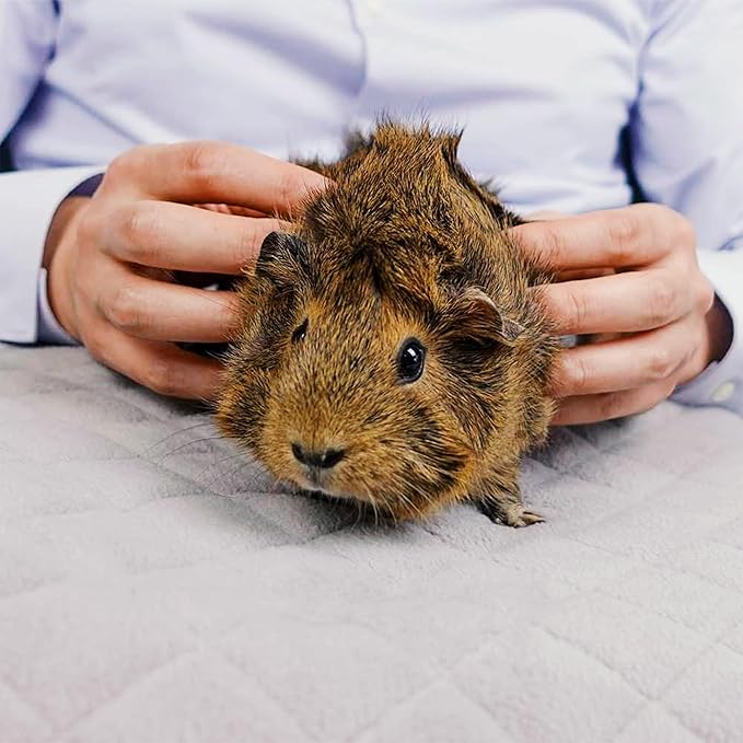 GuineaDad Original Reusable Cage Liner – Gray Fleece Bedding with Burrowing Pocket – Extra Absorbent Core & Waterproof Bottom – Fits C&C 2x3 Guinea Pig Cages – Small Animal Supplies