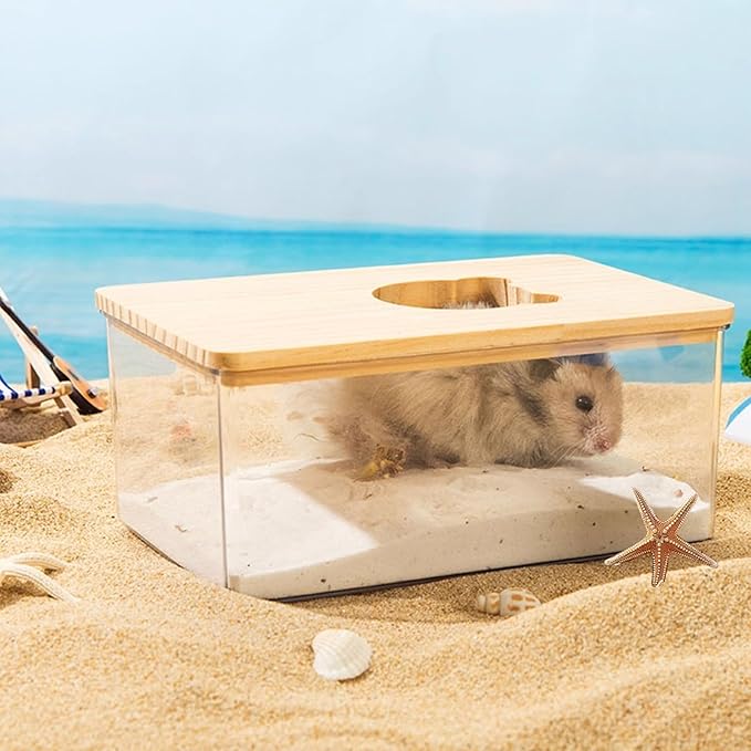 Hamster Sand Bath Box, Transparent Small Animal Bathroom & Digging Container with Ladder and Bowl for Hamsters Mice Lemming Gerbils or Other Small Pets