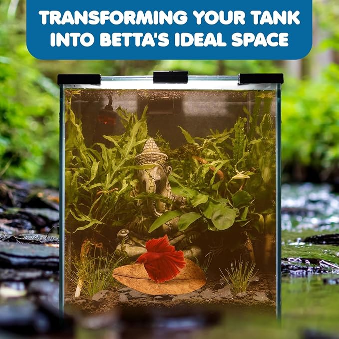 SunGrow 10 Indian Almond (Catappa) Leaves for Betta Fish - Aquarium Water Conditioner, Adds Tannins, Lowers pH, Enhances Color, Stress Relief, Water Softening Treatment, 4-7 Inches