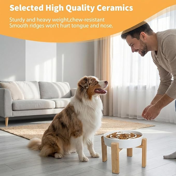 Elevated Slow Feeder Dog Bowl Large Breed, 8.8 Inch Ceramic Slow Eating Bowl with Screw-Assembled Bamboo Stand, Anti-Choking Raised Maze Design for Medium to Large Dogs, 3.2 Cup, White