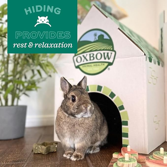Oxbow Timothy Hay Mat – Edible Habitat Accessory for Rabbits, Guinea Pigs, Chinchillas & Rats – Hand-Woven Natural Mat and Chew, Cage Enrichment for Dental Health, Comfort & Instinctual Play, Large