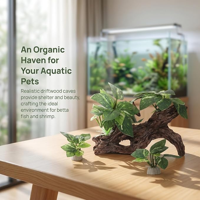 DECHOUS 4Pcs Aquarium Driftwood Decorations - Natural-Looking Driftwood Hideout Cave for Betta Fish and Shrimp Freshwater Fish Tank Decor for Aquascaping Durable Water-Resistant Aquarium Ornaments
