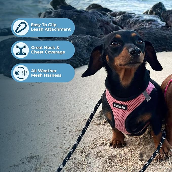 Best Pet Supplies Voyager Step-in Air All Weather Mesh Harness and Reflective Dog 5ft Leash Combo with Neoprene Handle, for Small, Medium and Large Breed Puppies - Set (Pink Base), X-Small