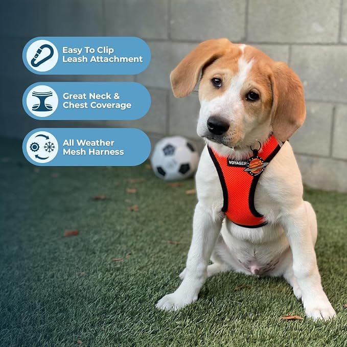 Best Pet Supplies Voyager Step-in Air All Weather Mesh Harness and Reflective Dog 5ft Leash Combo with Neoprene Handle, for Small, Medium and Large Breed Puppies - Orange/Black Trim, XX-Small