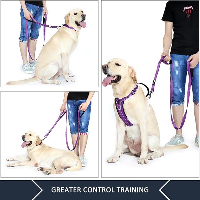 Plutus Pet Double Handle Dog Leash 4ft, Heavy Duty, Reflective Dual Handle Dog Leash for Safety Training, for Medium Large Dogs,2 Handle Leads(Purple)