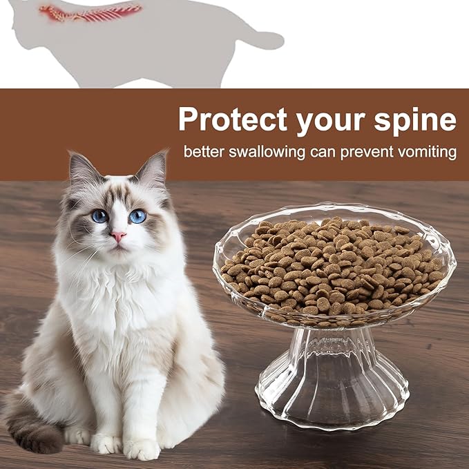 Elevated Cat Bowls Whisker Friendly. Raised Glass Whisker Fatigue Cat Bowl for Indoor Cats Protect The Spine and Prevent Vomiting.