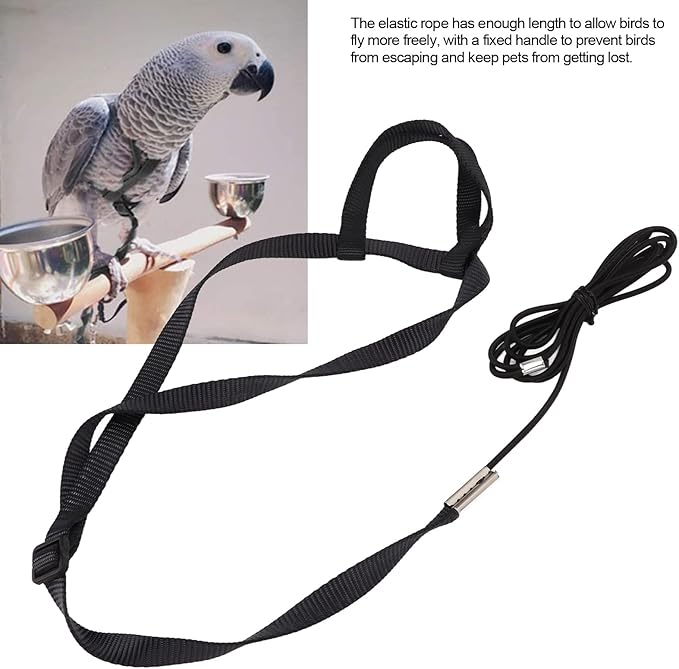 Parrot Harness Leash, Adjustable Buckle Elastic Rope Easy to Wear Convenient String for Cockatiel Lovebird Outdoor Playing Parties (XS)
