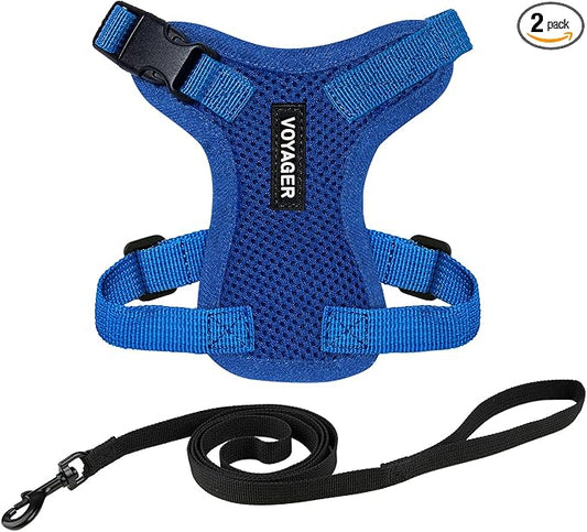 Voyager Escape-Proof Step-in Lock Cat Harness & 5ft Neoprene-Handle Leash Set All-Weather Mesh with Reflective Stitching for Small to Large Cats by Best Pet Supplies, Royal Blue, XS