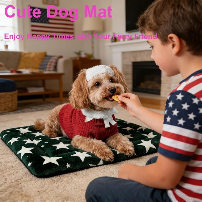 Dog Bed Mat, Reversible Dog Crate Pad with Washable Kennel Mat and Soft Foam, Pet Bed for Dogs & Cats, for Crates Carriers & Travel (Big&Small Stars Green, 24" L*18" W*1.5" Th)