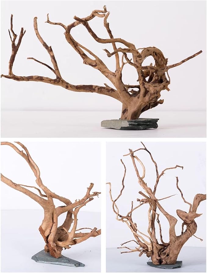AWXZOM Natural Large Spider Wood Driftwood for Aquarium, Terrarium, Vivarium, and Reptile, Aquarium Décor, Reptile Tank, Aquarium décor Wood Aquascaping Wood for Reptile Enclosure (9-14inch)