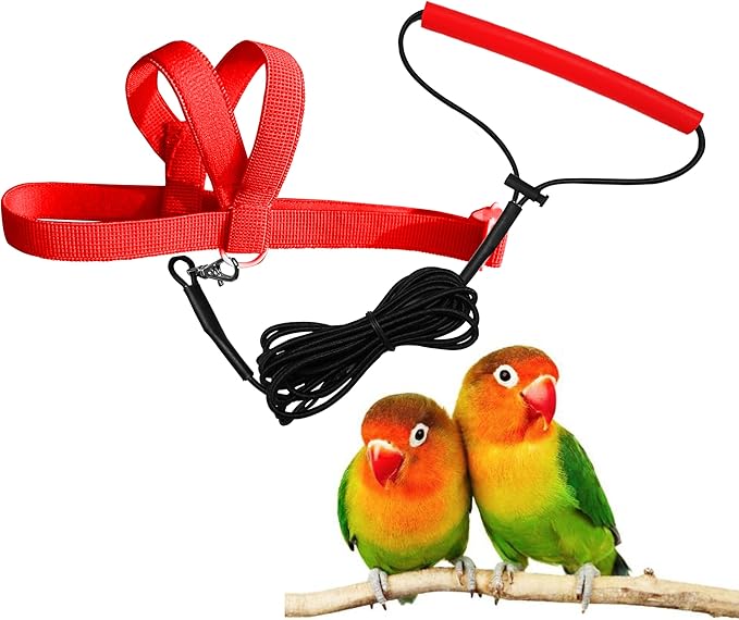Pet Parrot Bird Harness Leash Adjustable Bird Flying Harness Traction Rope with Cute Wing for Parrots Pigeons Budgerigar Lovebird Cockatiel Mynah Outdoor Training Toy (Red,XS)