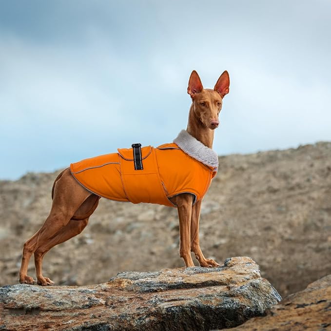 Lelepet Dog Coat Waterproof Dog Jacket Reflective Fleece Vest with Adjustable Buckle & Leash Hole Windproof Cold Weather Coats for Small Medium Large Dogs, Warm Hunting Vest, Orange, XXXL