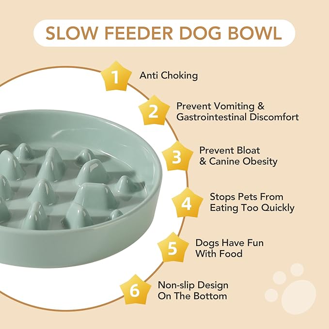 Havniva Ceramic 1.6 Cup Dog Raised Slow Feeder Set, Elevated Bowl with Wooden Stand for Medium and Large Dog, 8.2inch Slow Feeder Dish for Fast Easters, Anti-Gulping(Light Green, Single Bowl+ Stand)