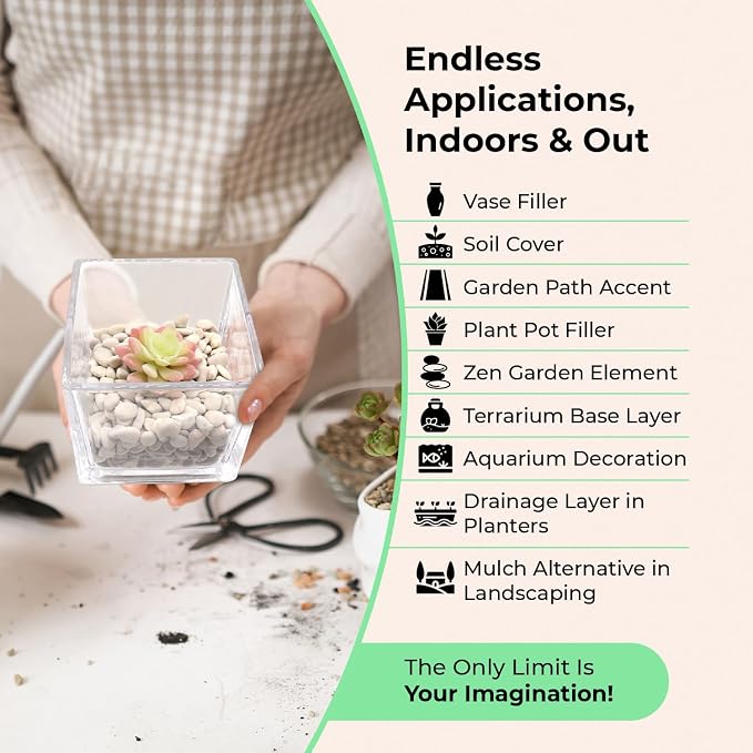 Golden Coarse Sand for Plants, Horticultural Sand, 1/8 Inch, 2 lbs