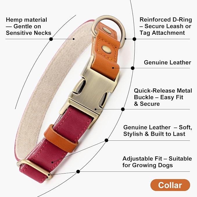 Plutus Pet Genuine Leather & Hemp Dog Collar – Adjustable Heavy Duty Pet Collar with Quick Release Metal Buckle, Soft & Stylish for Puppy and Small, Medium, Large Dogs (Burgundy, M)