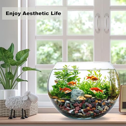 5 LB Mixed Gravel 0.5 Inch for Plants, Fish Tanks & Landscaping | Mixed Decorative Gravel & Pebbles for Plants, Aquariums, Vases, Landscaping & Indoor Décor