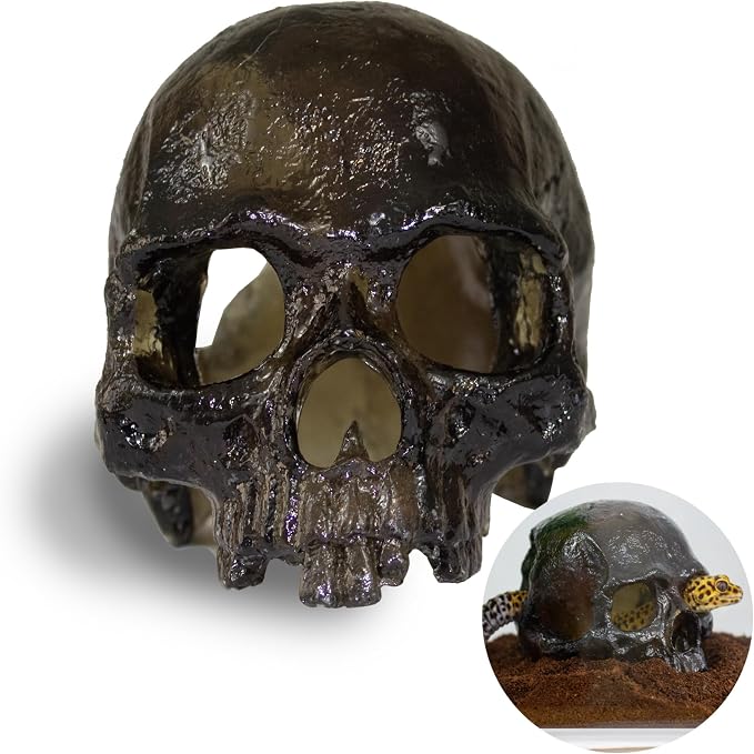 Spooky Skull Décor, Premium Aquarium Resin Skull, Fish Tank Skull Decoration, Unique and Durable Snake/Reptile Hide, Halloween Aquarium Décor for Small Pets, Perfect for Terrarium Décor