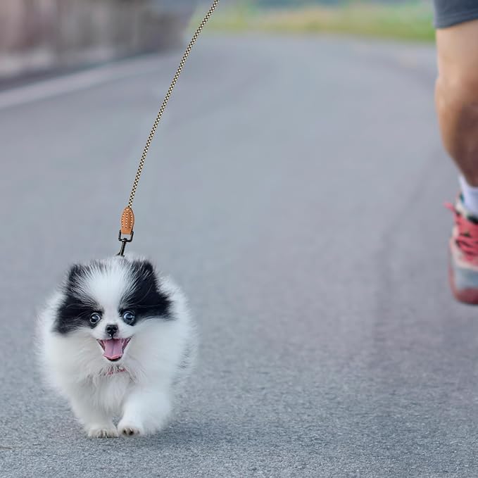 Mile High Life Small Dog Leash, Thin Rope Leash with Genuine Leather Connection and Heavy Duty Metal Clasp, Great for Small Medium Dogs(White,72 Inch-1/3)