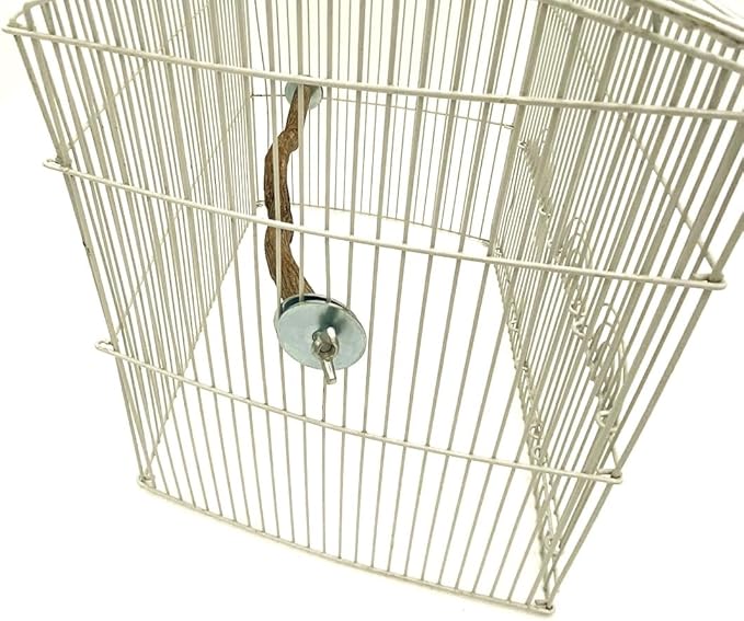 Polly's Full Length Hardwood Bird Perch, 18-Inch