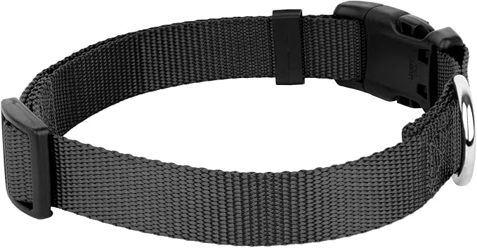 Country Brook Petz - Everyday Nylon Dog Collar and Leash - 10+ Cool Colors (3/8 Inch, 3XS, Black)