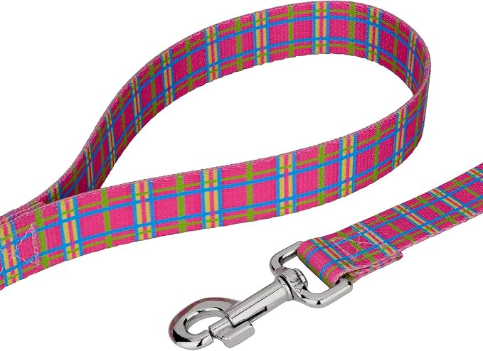 Country Brook Petz - Bubblegum Pink Plaid Everyday Collar and Leash - Plaid and Argyle Collection Featuring Charming Designs (1/2 Inch, Extra Small)