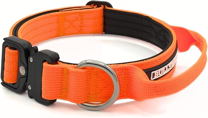 Tactical Dog Collar for Puppy, Heavy Duty Puppy Collar, Dog Collar for Small Dogs, Waterproof Dog Collar, Dog Training Collar, Quick-Release Metal Buckle, Adjustable Sizes – BULLYBREED (Orange, Small)