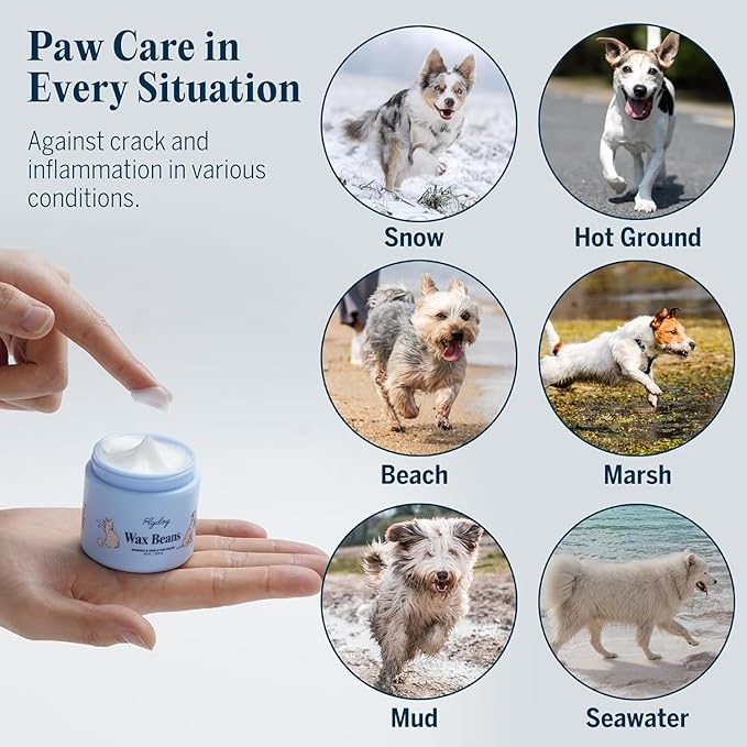 Flydog Lick-Safe Dog Paw Cream – Non-Greasy Paw Pad and Nose Balm for Dogs, Fast-Absorbing Avocado Plant Formula, Winter Paw Balm for Outdoor Dry Cracked Pads & Snout (50ml)