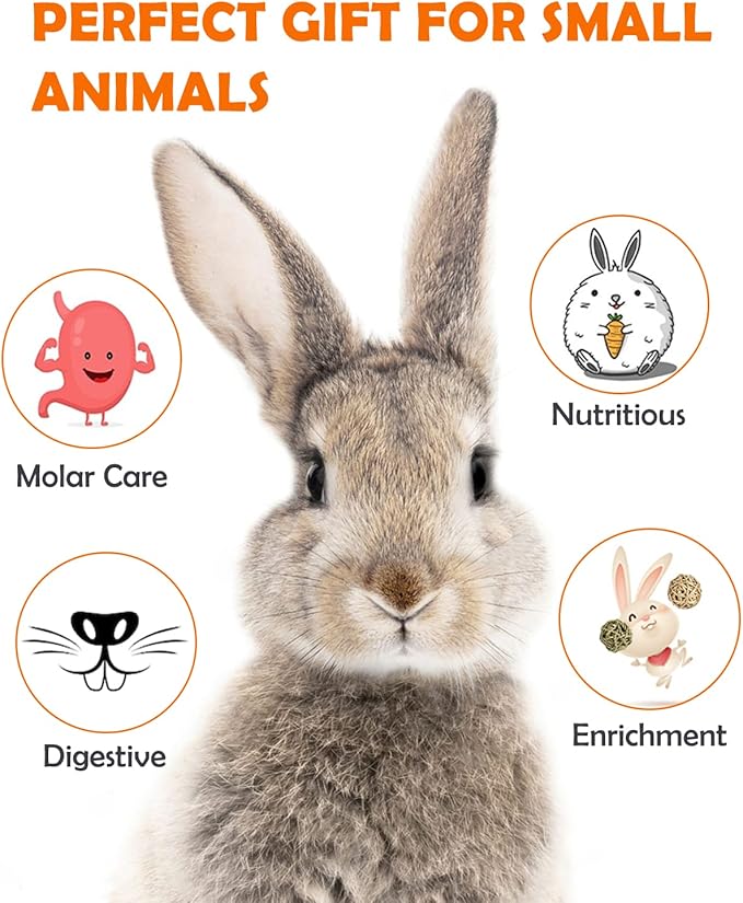 Sofier 12Pcs Timothy Hay Treats Rabbit Toys Bunny Toys Guinea Pig Natural Chews for Teeth Handmade Rabbit Chews and Treats Chinchilla Rat Hamster Gerbil
