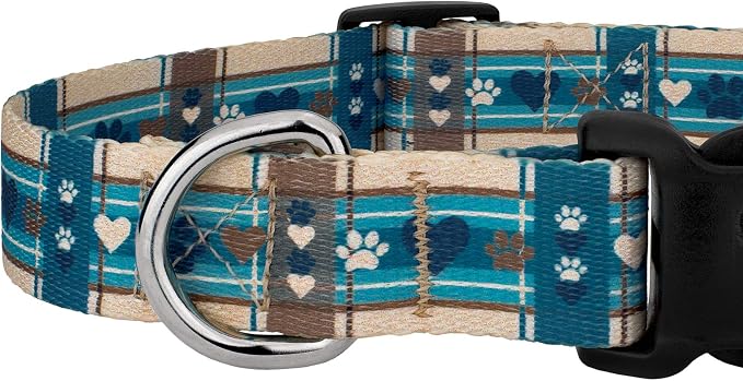Country Brook Petz - Puppy Picnic Everyday Dog Collar and Leash - Plaid and Argyle Collection Featuring Charming Designs (1 Inch, Large)
