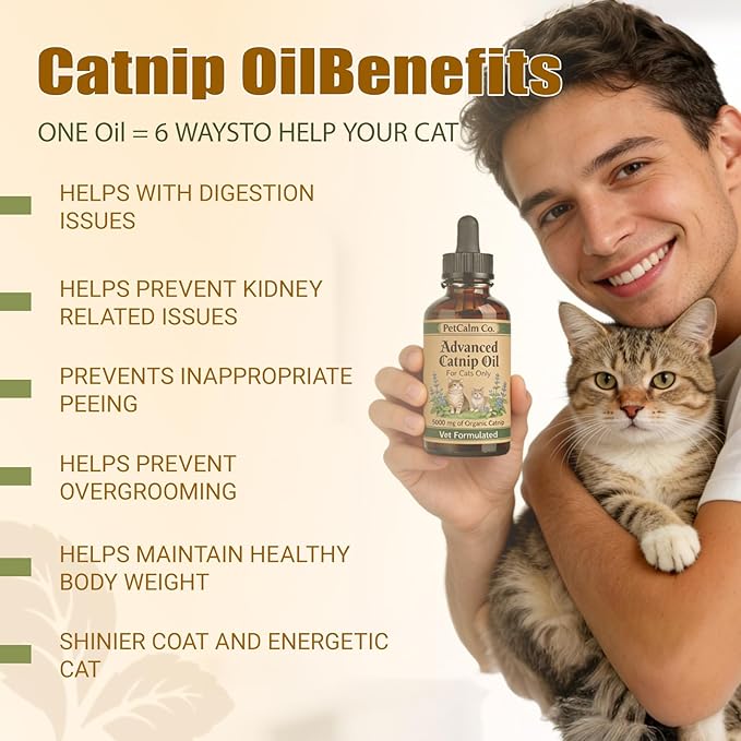 PetCalm Co Advanced Catnip Oil - 5000 mg Catnip, Vet Formulated, for Cats Only, Cat Relaxation Supplement (2.1 fl oz)