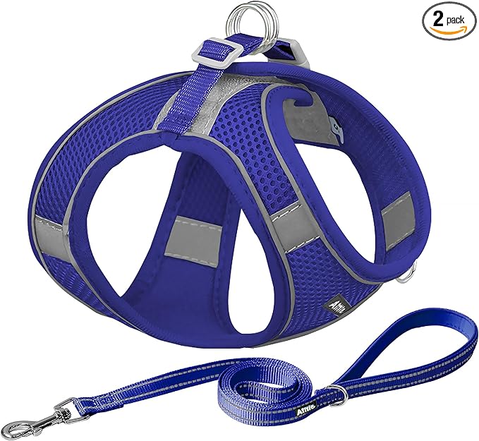 AIITLE Easy Walk Dog Harness and Leash Set - Pet Supply No Pull, Step in Adjustable Dog Harness with Padded Vest, Dog Harness No Choke Over, Easy to Put on Medium Dogs Royal Blue L