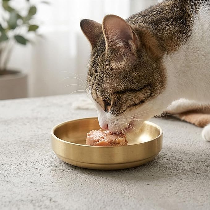 2 Pack Whisker Fatigue Cat Bowl, Shallow Stainless Steel Cat Food and Water Bowls, Wide Cat Dishes for Indoor Cats and Small Dogs, Dishwasher Safe