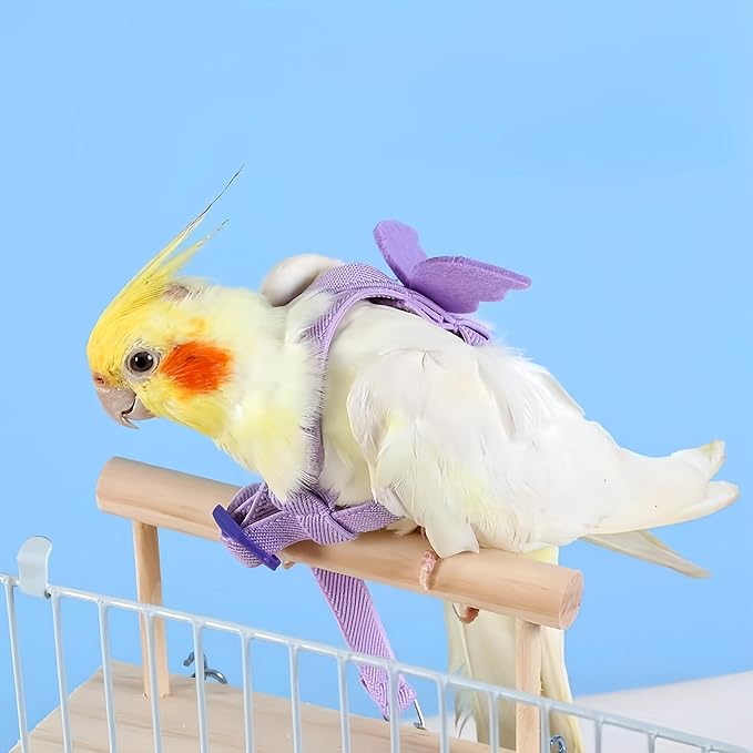 3 Sets Pet Parrot Bird Harness and Leash with Cute Wing, Adjustable Bird Flying Harness Straps Outdoor Training Traction Rope for Parrots Pigeons Lovebird Cockatiel(S,Pink, Yellow&Purple)