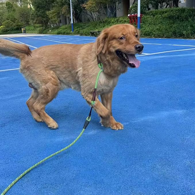 MayPaw Heavy Duty Rope Dog Leash, 3/4/5/6/7/8/10/12/15 FT Nylon Pet Leash, Soft Padded Handle Thick Lead Leashes for Large Medium Dogs (Green Black, 1/2" * 10')