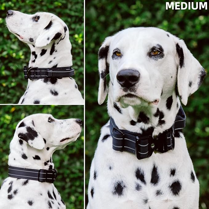 Tuff Pupper Tactical Dog Collar | Heavy Duty 1.5" Wide Ballistic Nylon | Training Control Handle | Quick-Release Metal Buckle | Reflective Bands | ID Tag Holder | Padded Inner Lining (Black, Medium)