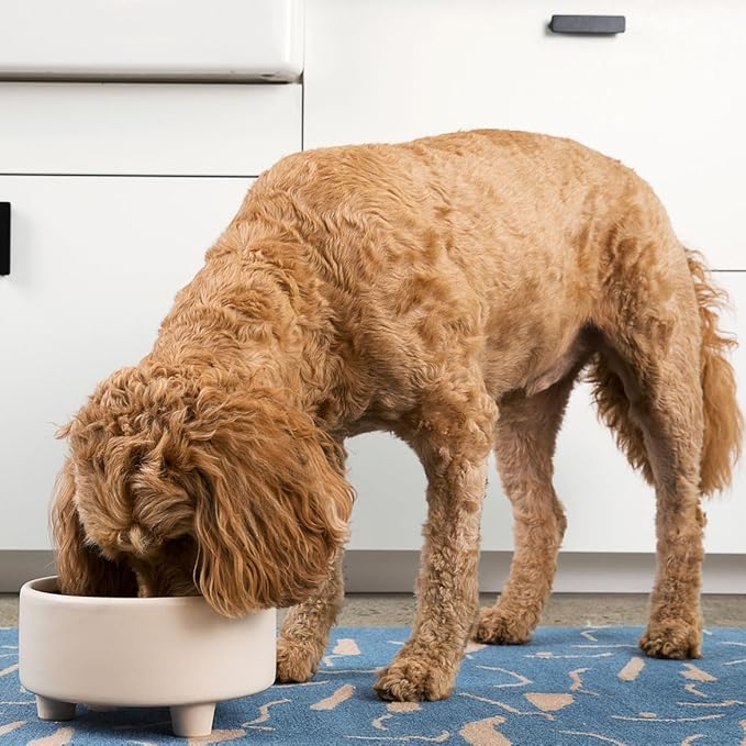 Waggo Uplift Ceramic Dog Bowl for Small Medium and Large Breeds - Heavyweight and Durable Pet Food and Water Dish Crock, Dishwasher Safe, Modern, Elevated Feeder (Buttercream, Small)