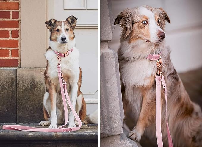 Leather Dog Collar and Leash Set 7FT Reflective at Night - Soft and Easy to Clean Vegan Leather with Gold Metal Buckle for Small Medium Large Dogs (S, Sea Green)