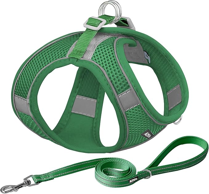 AIITLE Easy Walk Dog Harness and Leash Set - Pet Supply No Pull, Step in Adjustable Dog Harness with Padded Vest, Dog Harness No Choke Over, Easy to Put on Medium Dogs Green L