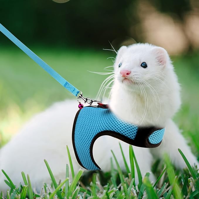 Rypet Animal Harness and Leash - Soft Mesh Pet Harness With Safe Bell, No Pull Comfort Padded Vest for Small Pet Blue M