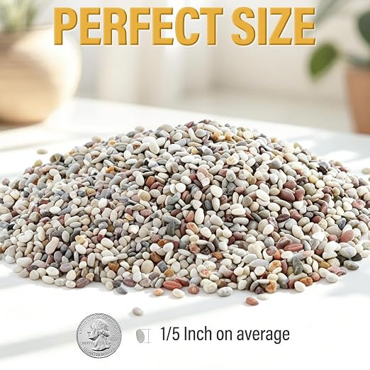 7lb Succulent and Cactus Gravel Pebbles, 1/5 Inch Mixed Color Natural Rocks for Fish Tank, Indoor Plants, Aquarium, Vases, Landscaping