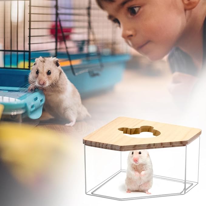 QWORK Animal Sand-Bath Box, Acrylic Sand Bath Shower Room & Digging Sand Container for Hamsters Mice