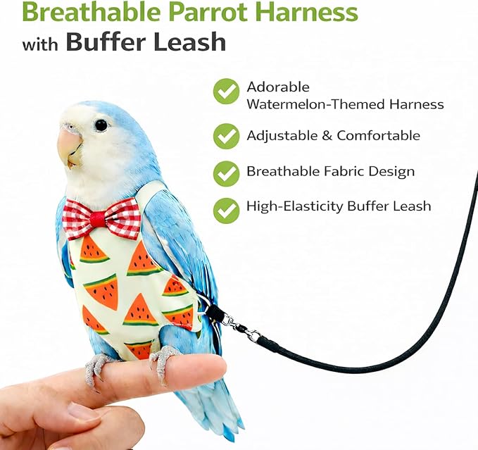 Cockatiel Sun Conure Bird Diaper and Leash Set, Small Bird Diaper and Harness, Reusable Flight Suit for Monk Parakeet/Adult Cockatiel/Mini Macaw/Caique (L)