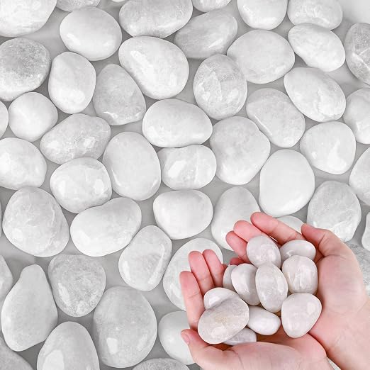 White River Rocks for Plants 5.5 LB Small Decorative Pebbles 1"-1.5" Polished Stones Smooth Aquarium Gravel for Fish Tank Vases Indoor Planters Outdoor Landscaping Garden (88oz)