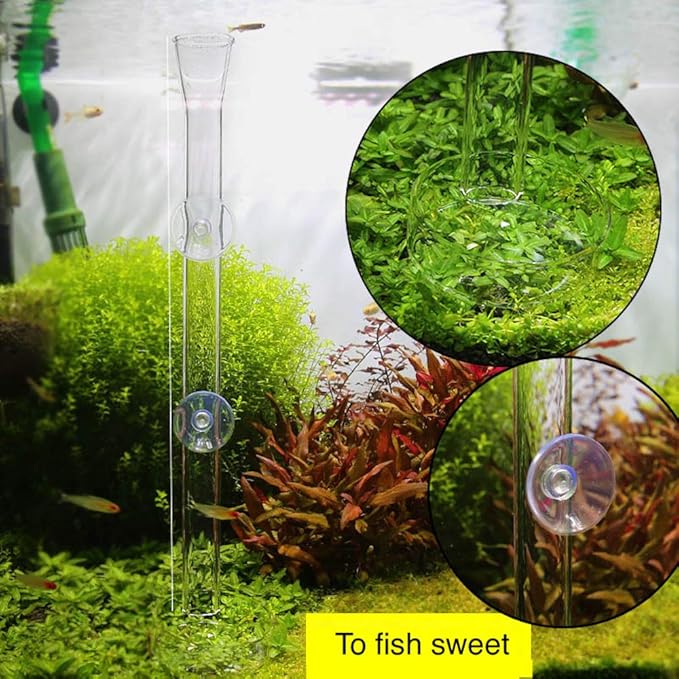 Shrimp Feeding Tube and Dish,2 Cup Clear Crystal Glass Fish Tank Shrimp Feeder Tube Tray