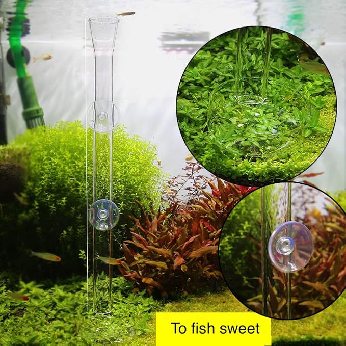 Shrimp Feeding Tube and Dish,Clear Crystal Glass Shrimp Feeder Tube Tray for Fish Tank Aquarium Shrimp (10")
